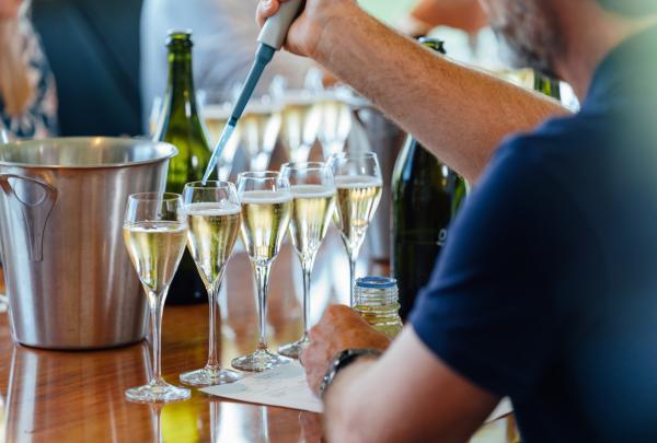 Josef Chromy Wines, Tamar Valley, TAS © Josef Chromy Wines