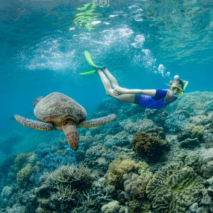 Snorkelling with a turtle on the Great Barrier Reef © Tourism and Events Queensland