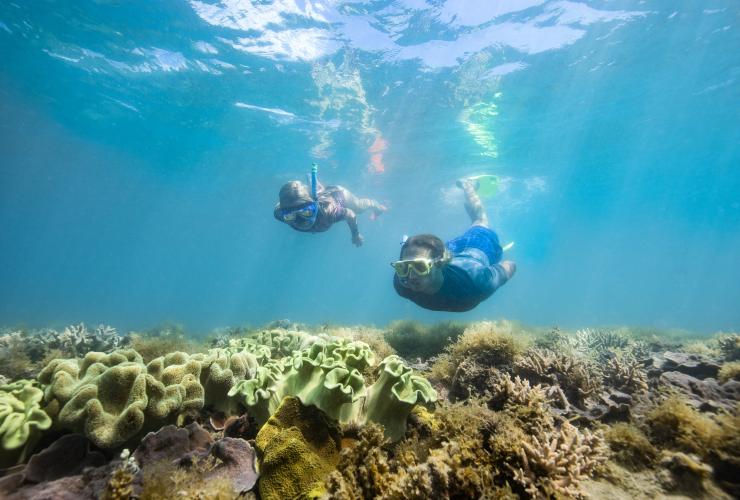 Snorkelling with Ocean Rafting in the Whitsundays, QLD © Tourism Australia