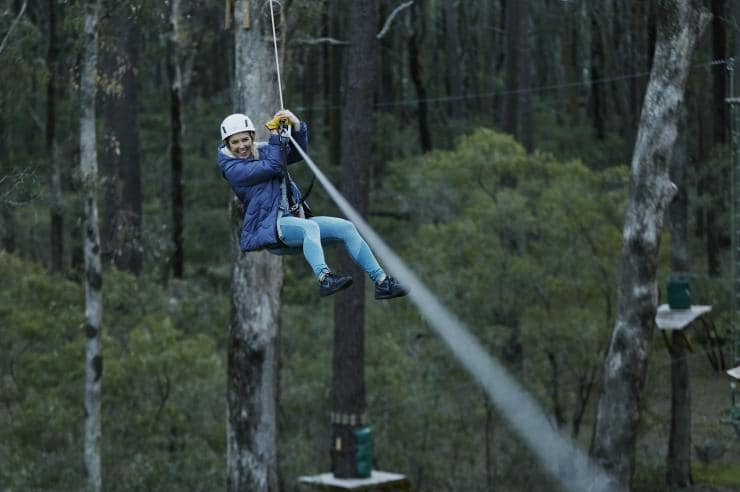 A woman zip lining through tall forest trees with Forest Adventures Zip Lining, Ludlow Forest, Margaret River region, Western Australia © Tim Campbell
