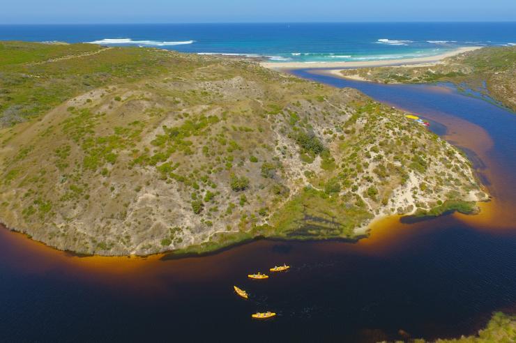 Aerial view of people kayaking along a river that leads to the coast, surrounded by greenery during an experience with Canoeing with Bushtucker Tours, Margaret River, Western Australia © Bushtucker Tours