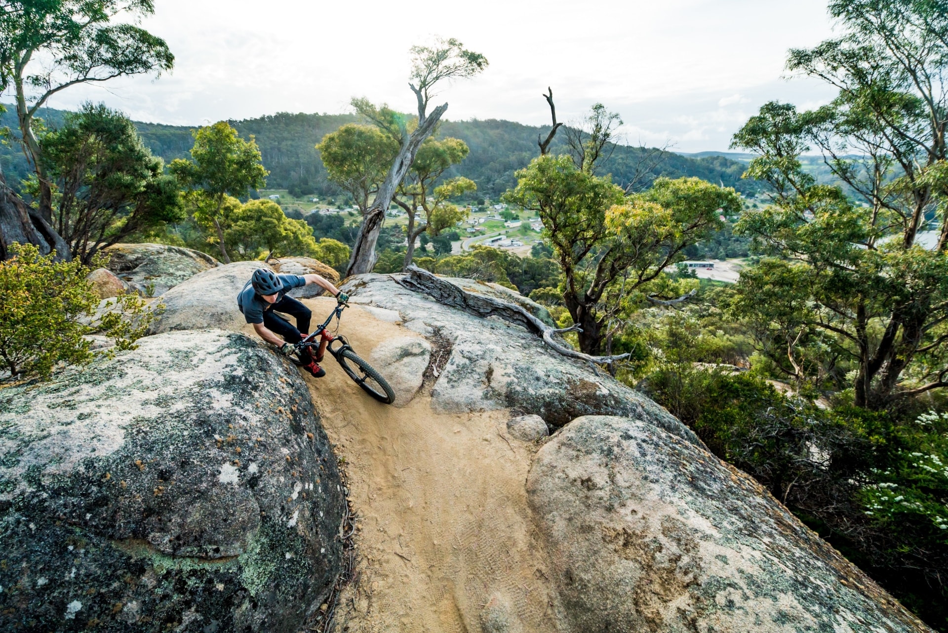 Blue Derby Mountain Bike Trails, Derby, Tasmania © Tourism Tasmania/Revolution MTB