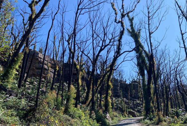 Morton National Park, NSW © Wild Food Adventures