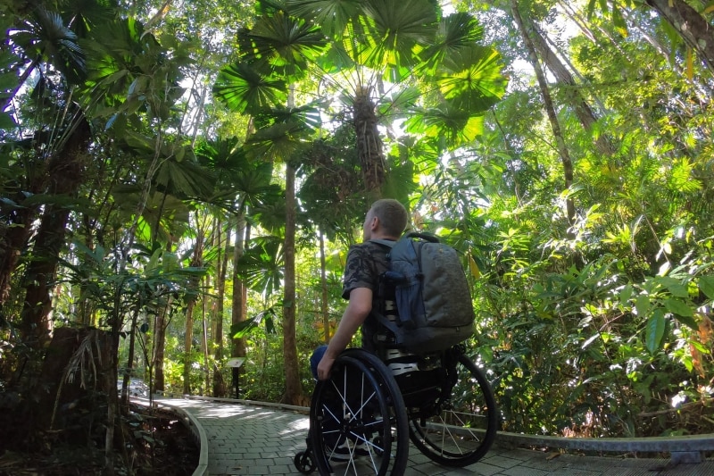 Man in a wheelchair looking up at the canopy of the Daintree Rainforest in Queensland © Tourism and Events Queensland