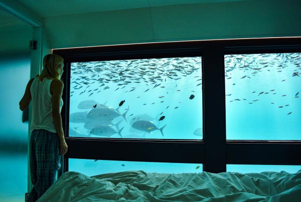 Cruise Whitsundays Reef Suite Accommodation, Whitsundays, QLD  © Cruise Whitsundays