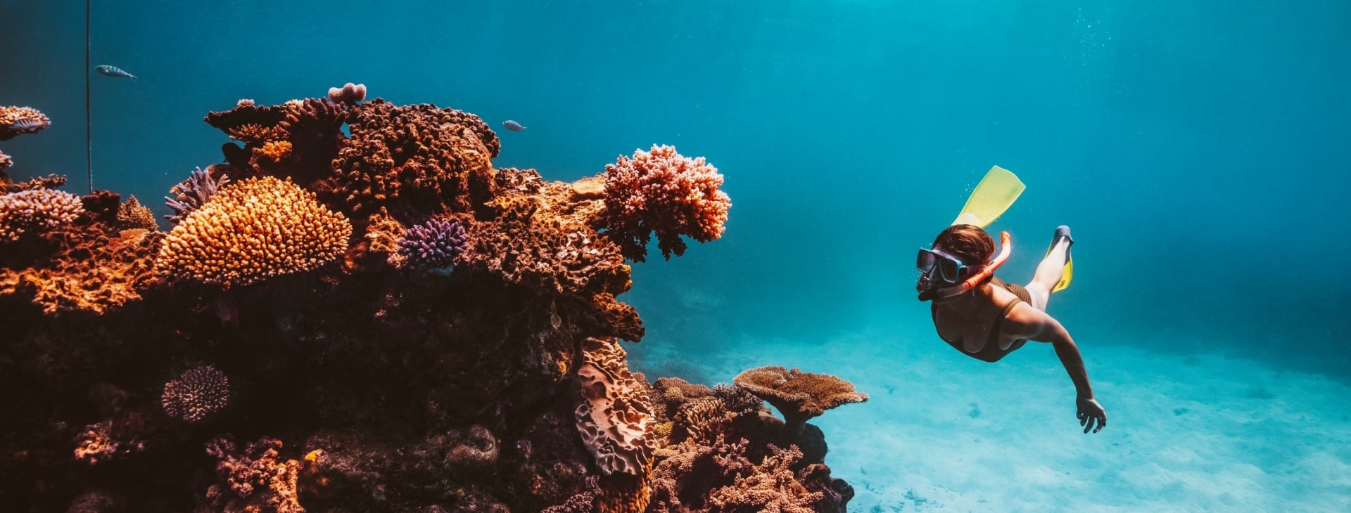 Great Barrier Reef, QLD © Tourism Tropical North Queensland