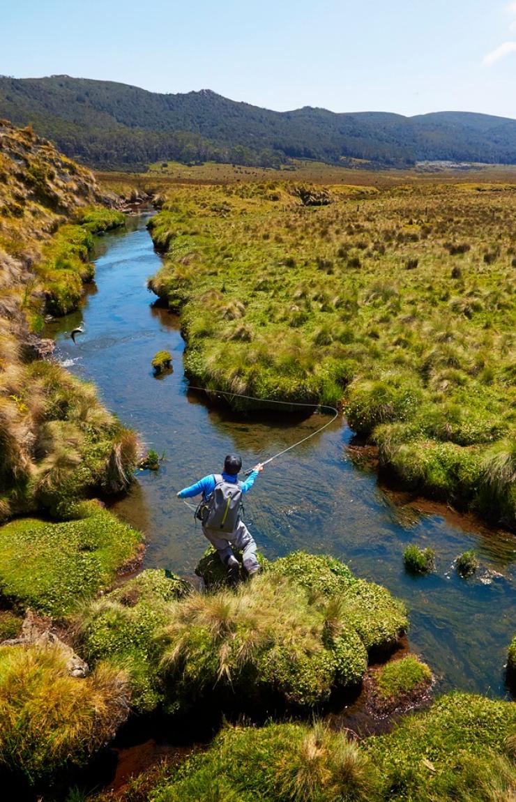 A person fly fishing in a small waterway surrounded by greenery, Fly Fishing, Tasmania © Tom Rafalovich 