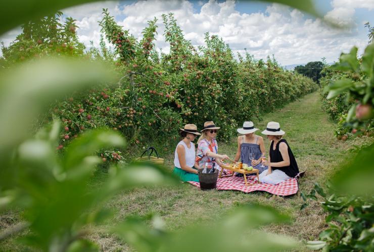 Picnic at Printhie Wines in Orange © Printhie Wines