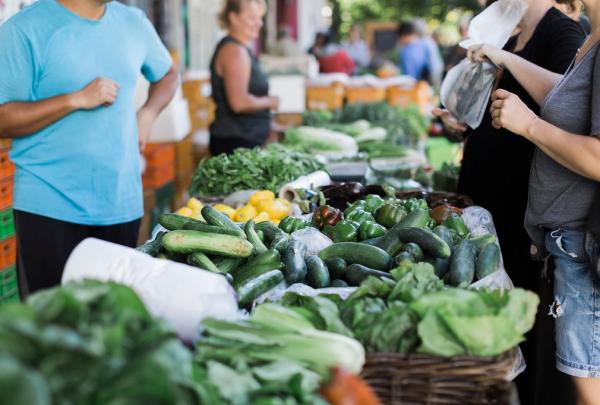 Fresh produce at Perth City Farm © Perth City Farm/Shoshana Kruger