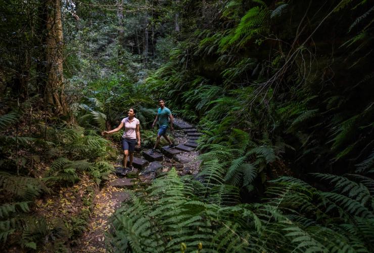 Grand Canyon Walking Track, Blue Mountains, New South Wales © Destination NSW