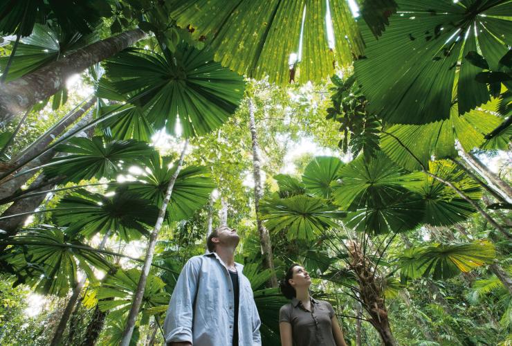 Couple walking through the Rainforest Canopy Walkway in the Daintree National Park © Tourism and Events Queensland