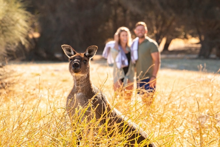 Sea Dragon Lodge and Villas, Kangaroo Island, South Australia © Tourism Australia