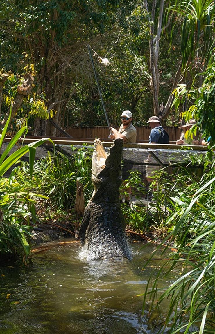Crocodile jumps out of the water at Hartley's Creek Crocodile Adventures in Queensland © Tourism Australia
