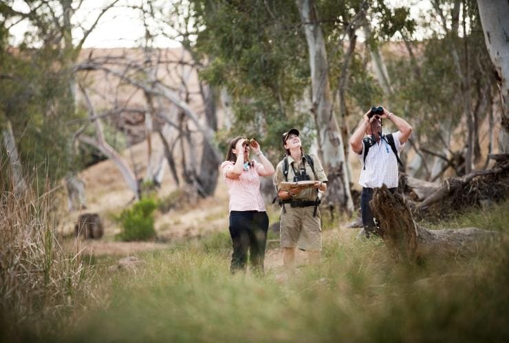 Bushwalkers with binoculars in the Flinders Ranges, South Australia © Wild Bush Luxury