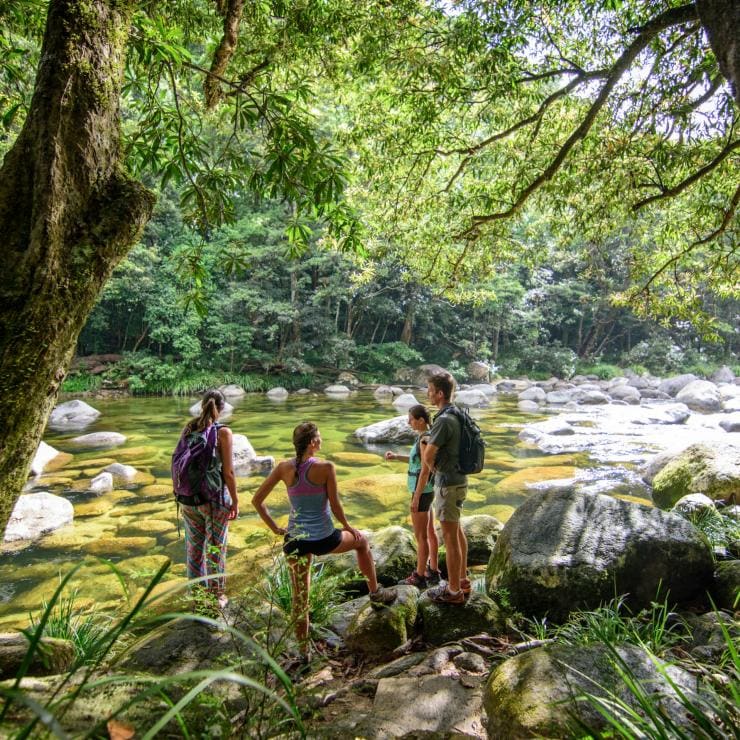 Tour group looking over the Mossman River in the Daintree National Park © FNQ Nature Tours