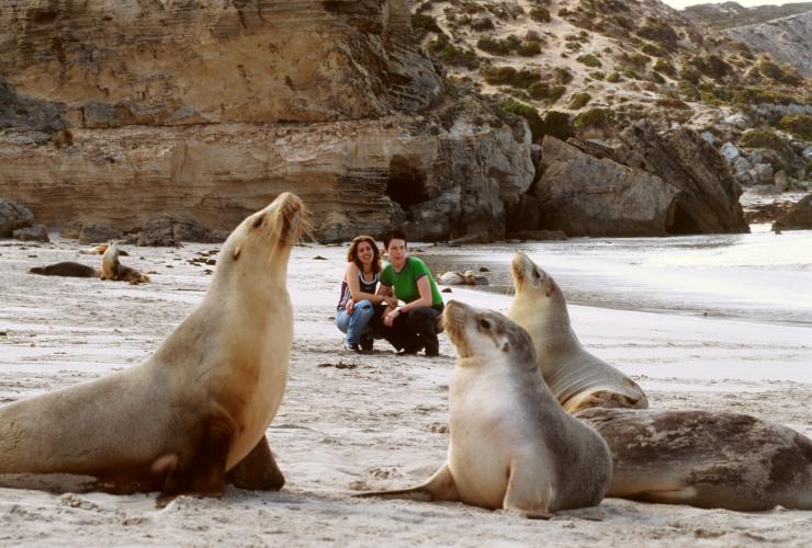 Couple crouched on a beach watching sea lions in Kangaroo Island © Tourism Australia