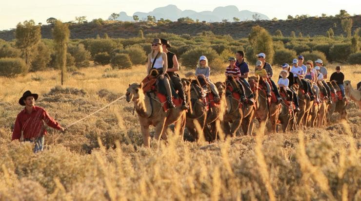 Uluṟu camel tour, Uluṟu-Kata Tjuta National Park, NT © Uluru Photography