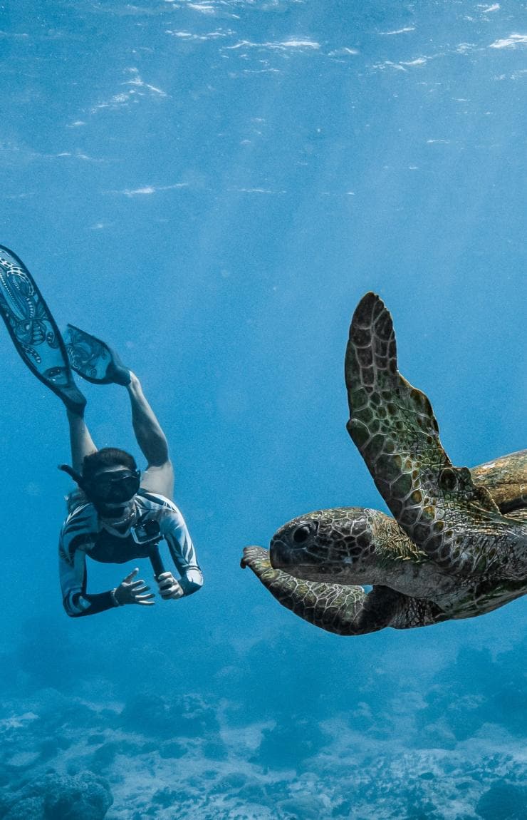 Scuba diver and turtle underwater, Cocos (Keeling) Islands © Cocos Keeling Islands Tourism Association