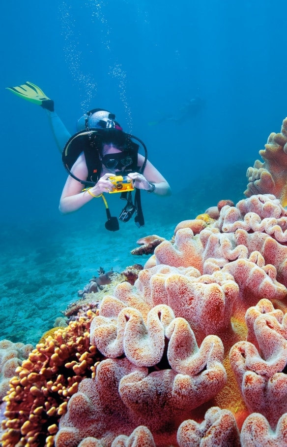 Scuba Diving in the Fitzroy Reef Lagoon at the Great Barrier Reef © Tourism and Events Queensland