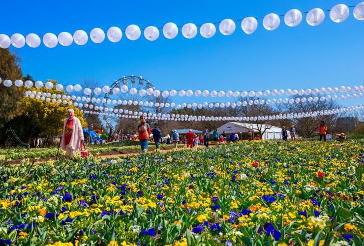 Floriade, Canberra, Australian Capital Territory © Carol Elvin