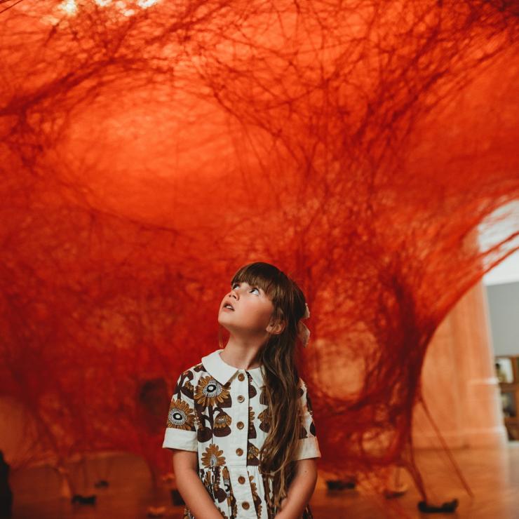 Child looking at exhibition at the Art Gallery of South Australia © Megan Crabb