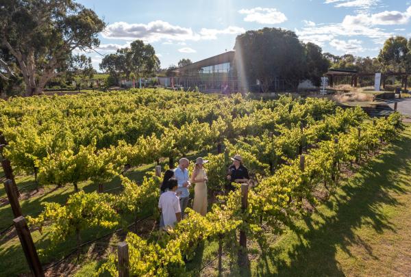 Jacob's Creek, Barossa Valley, SA © Jacob's Creek