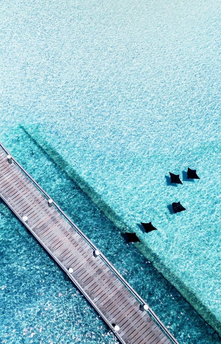 Birds' eye view, Jetty, Heron Island, QLD © James Vodicka