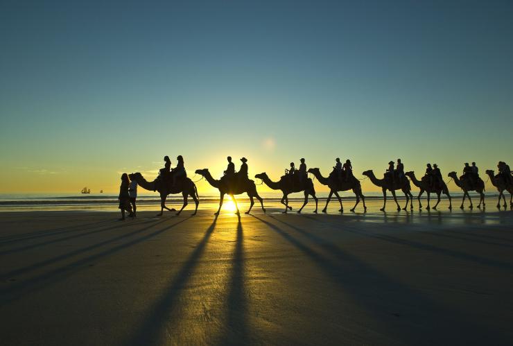 Camels at sunset on Cable Beach, Broome, WA © Tourism Western Australia