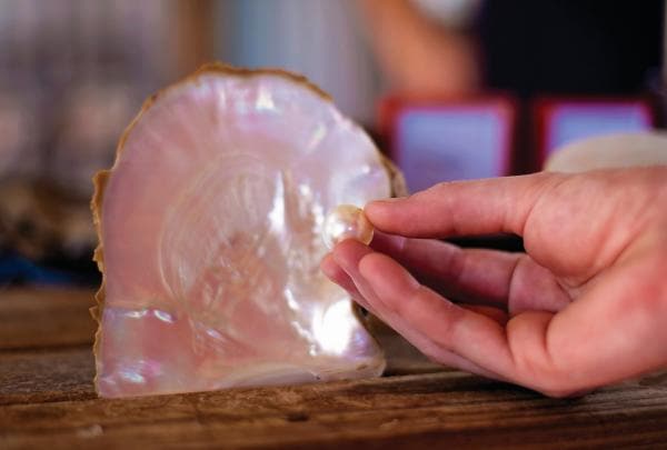 Willie Creek Pearl Farm, Broome, WA © Tourism Western Australia