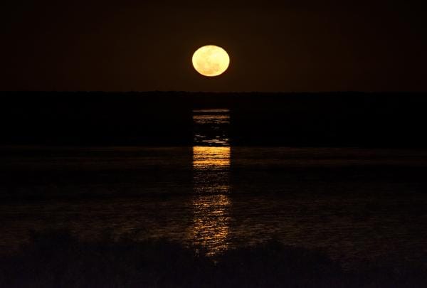 Staircase to the Moon, Roebuck Bay, Broome, WA © Tourism Western Australia