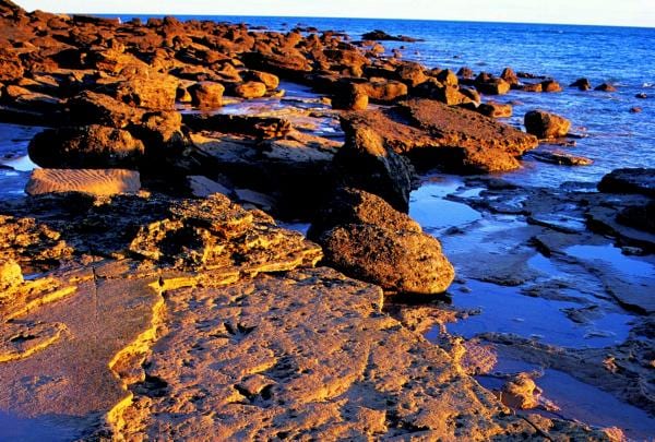 Dinosaur footprints, Gantheaume Point, WA © Tourism Western Australia