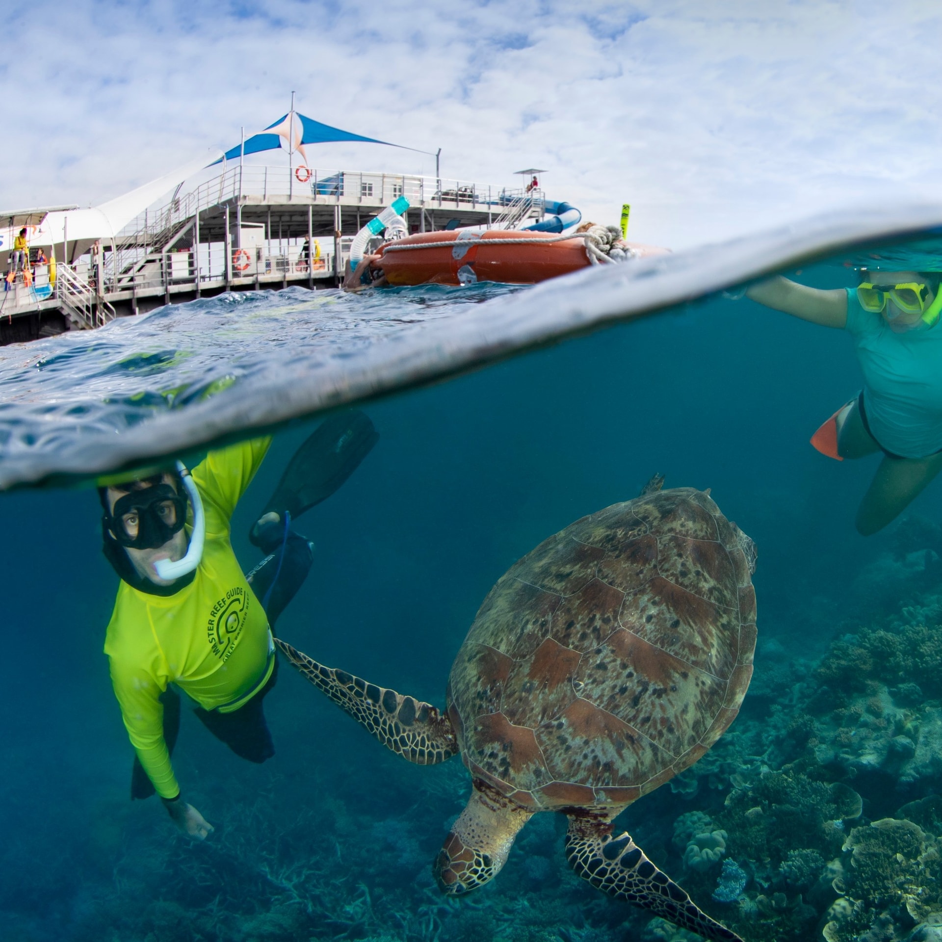 Sunlover Reef Cruises, Great Barrier Reef, QLD © Sunlover Reef Cruises
