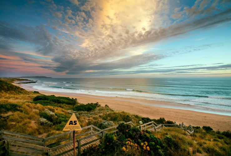 Forest Caves Beach, Phillip Island, VIC © David Hannah, Visit Victoria