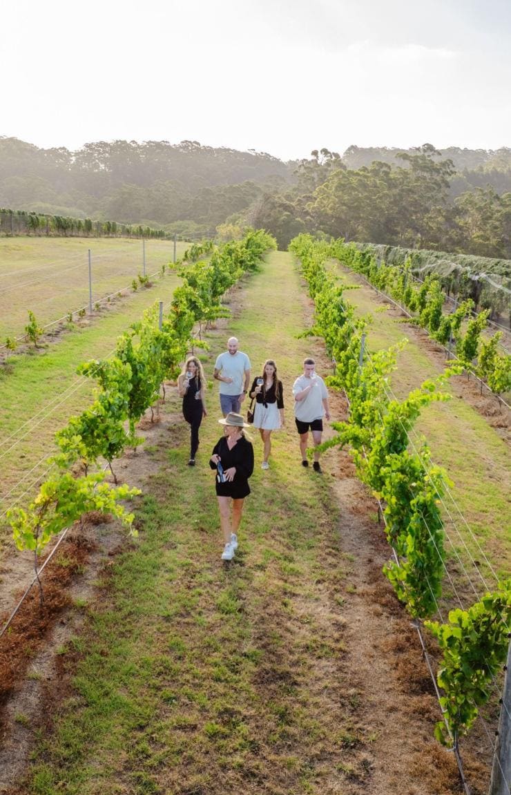 Singlefile Wines, Denmark, Western Australia © Tourism Western Australia