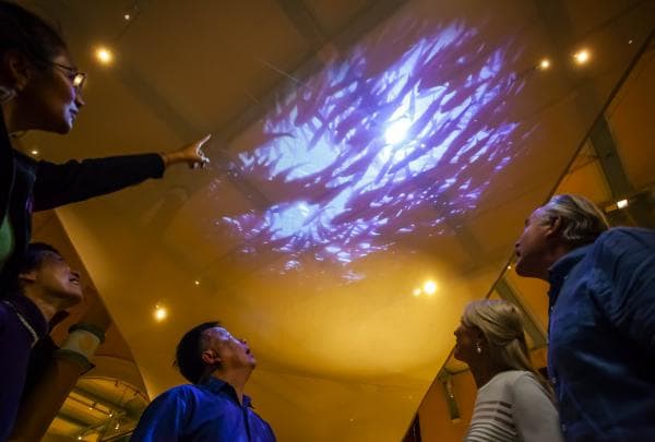 Australian Museum, First Australians Gallery, Sydney, NSW © Archie Sartracom, Tourism Australia