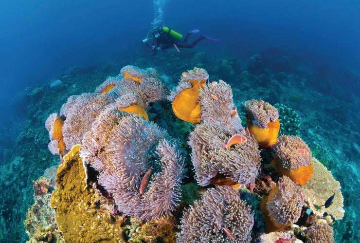 Scuba Diving, Christmas Island, External Territories © Gary Bell/OceanwideImages.com