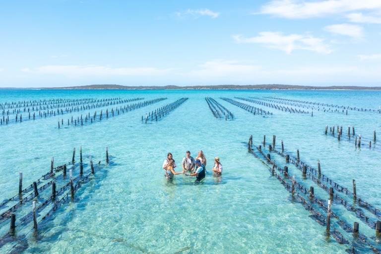 Experience Coffin Bay, Eyre Peninsula, South Australia © Tourism Australia