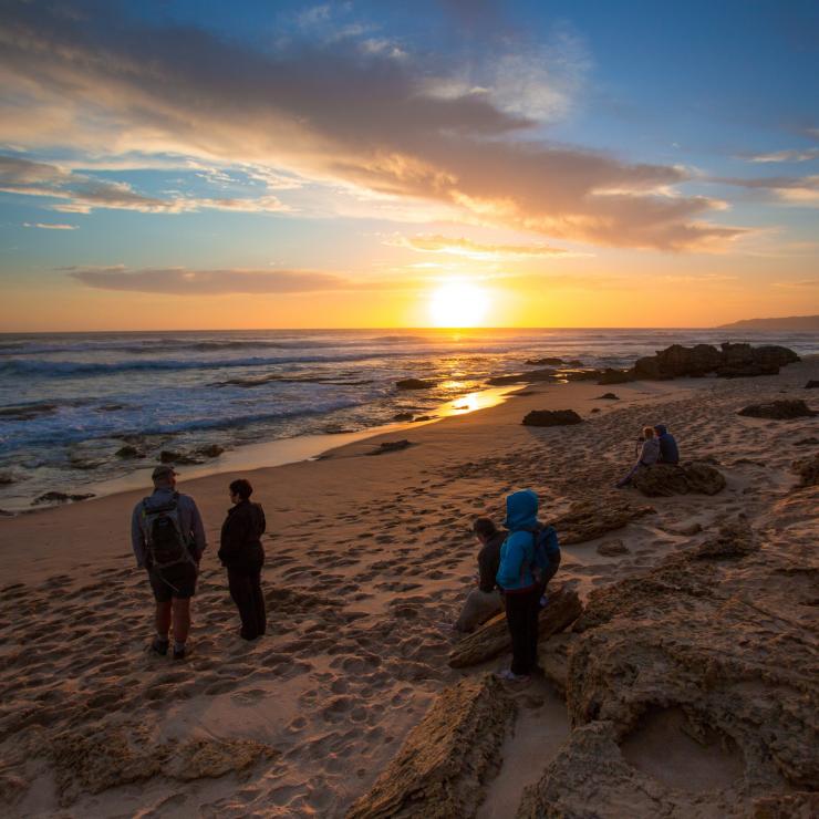 Twelve Apostles Lodge Walk, Johanna Beach, Great Ocean Road, VIC © Twelve Apostles Lodge Walk / Great Walks of Australia