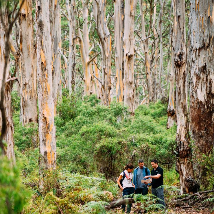 Cape to Cape Track, Margaret River, WA © Walk into Luxury