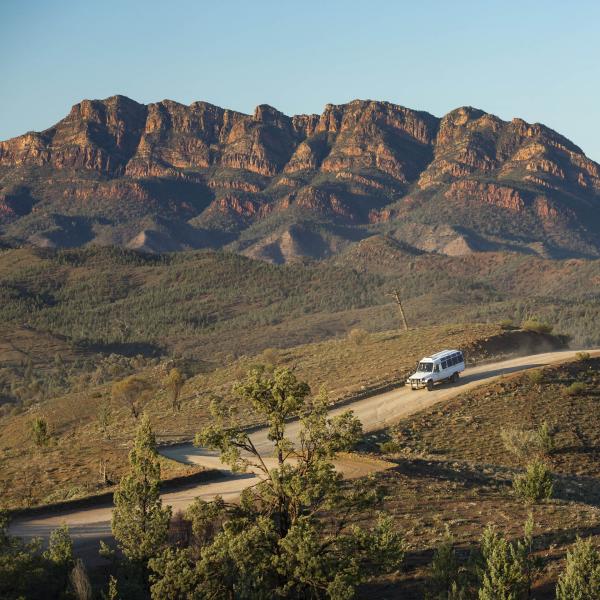 Wilpena Pound Resort, Flinders Ranges National Park, SA © Tourism Australia