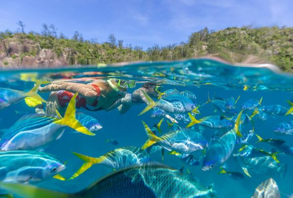 Snorkelling in Manta Ray Bay, Hook Island, Whitsundays, Queensland © Ocean Rafting