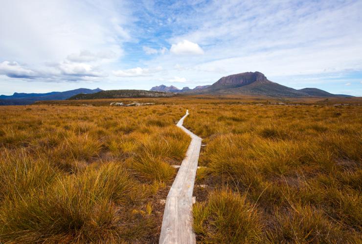 Cradle Mountain Huts Overland Track Walk, Mount Pelion West, Cradle Mountain-Lake St Clair National Park, TAS © Tasmanian Walking Company / Great Walks of Australia