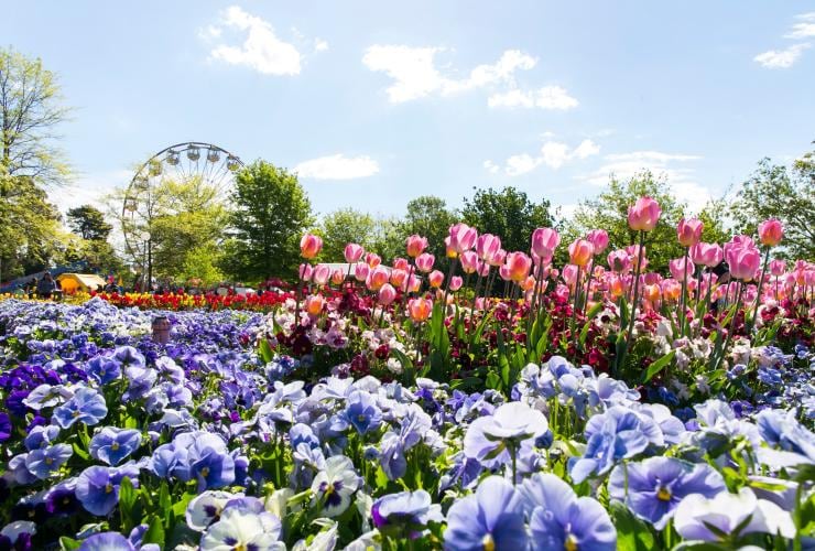 Floriade, Canberra, ACT © VisitCanberra