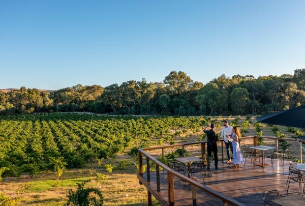 A group admiring the green vineyards at St Hugo, Barossa, South Australia © Tourism Australia