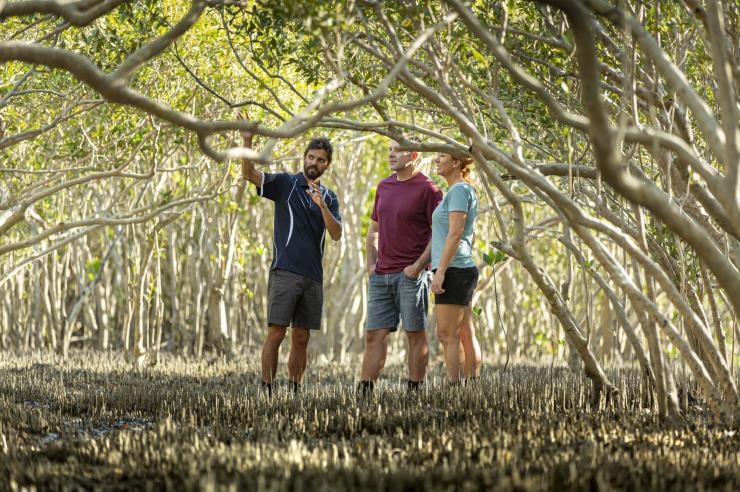 Narlijia Experiences, Broome, Western Australia © Archie Sartracom, Tourism Australia Narlijia Experiences, Broome, Western Australia © Archie Sartracom, Tourism Australia