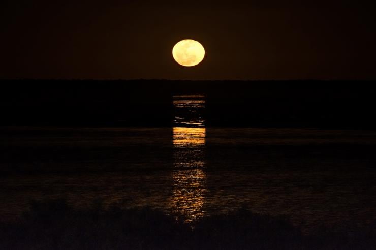 Staircase to the moon, Broome, Western Australia © Tourism Western Australia Staircase to the moon, Broome, Western Australia © Tourism Western Australia