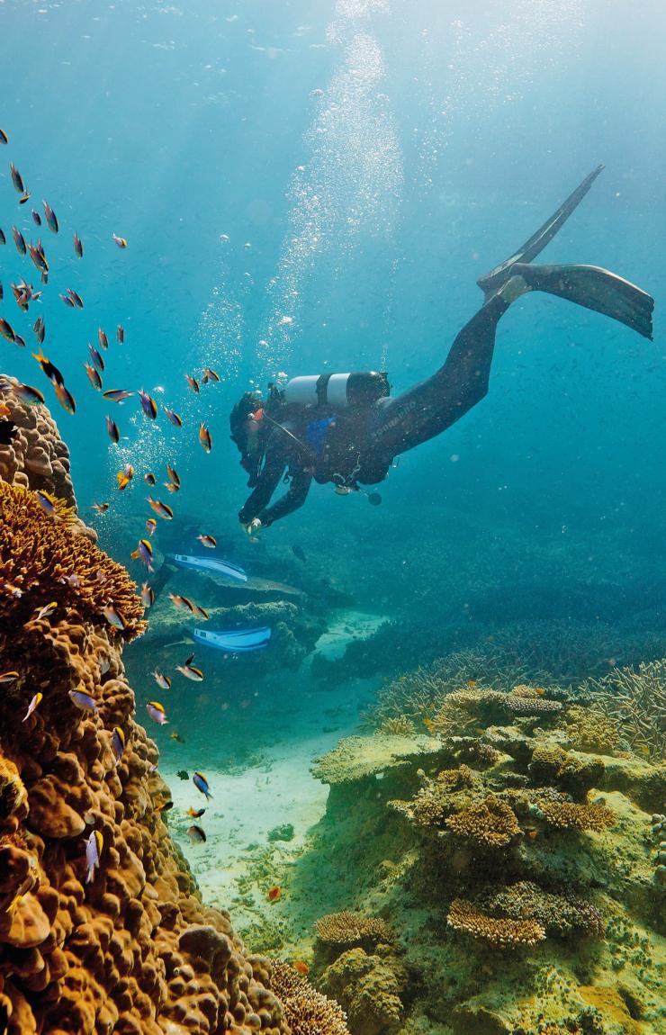 Great Barrier Reef, Heron Island, QLD © Paul Giggle, Tourism and Events Queensland