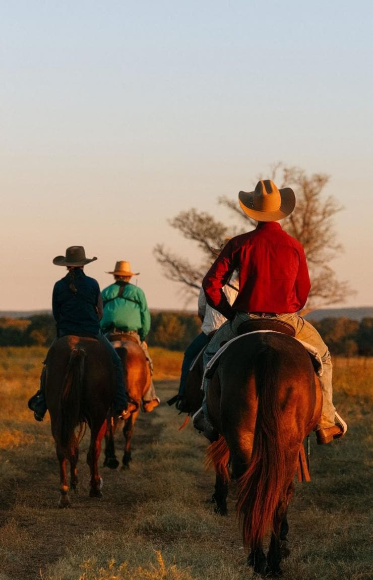 Tour horse riding at Bullo River Station, Baines, Northern Territory ©  Tourism Australia