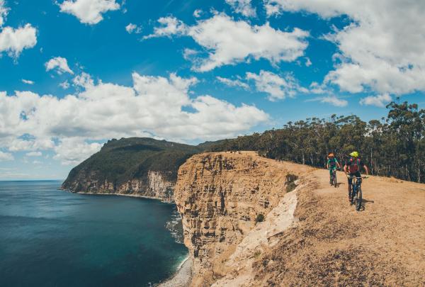 Mountain biking, Maria Island National Park, TAS © Flow Mountain Bike