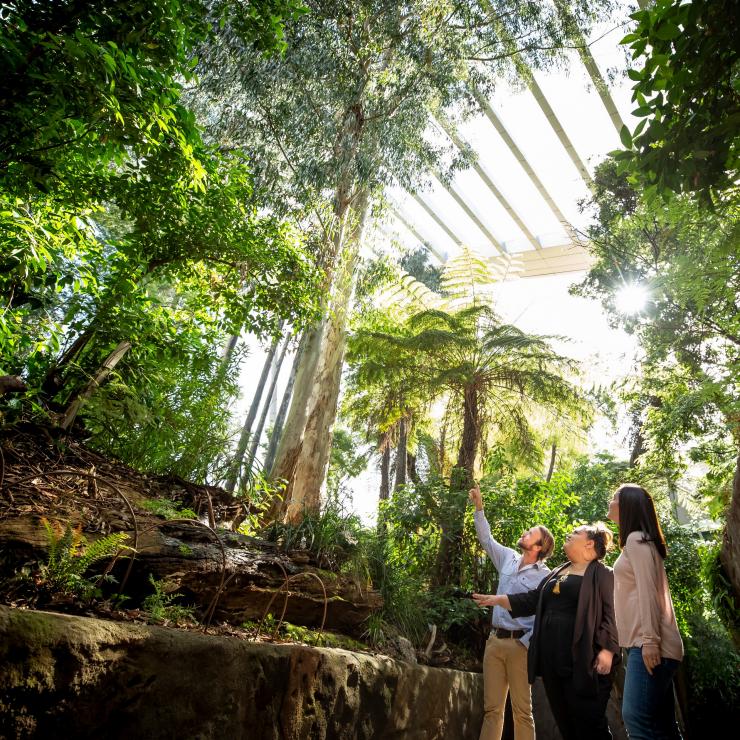 Bunjilaka Aboriginal Cultural Centre at Melbourne Museum © Melbourne Museum